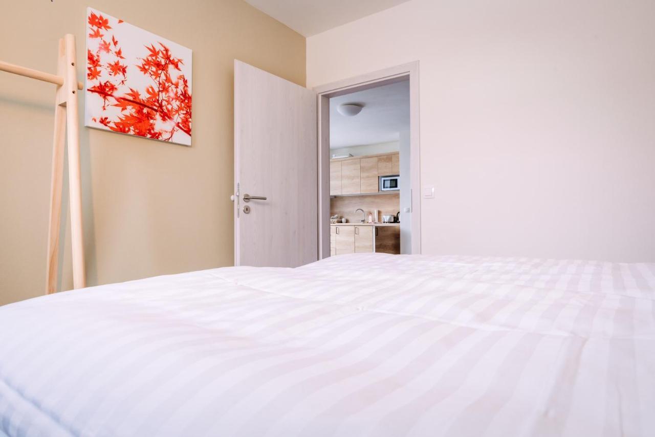 Ferienwohnung Aura VI Boží Dar Exterior foto